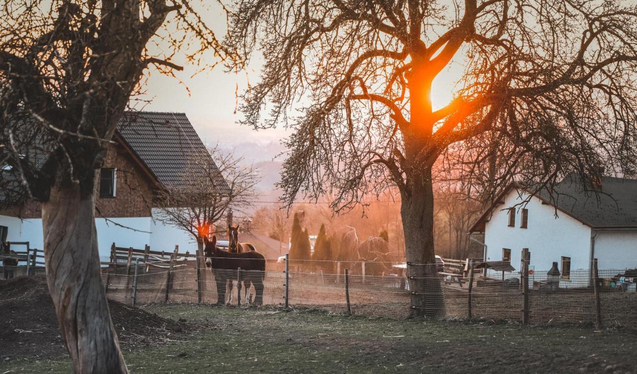 Kozakov Apartmany - Druhe Patro Tatobity Buitenkant foto